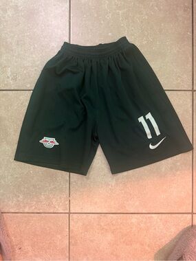 Nike Blue Athletic shorts